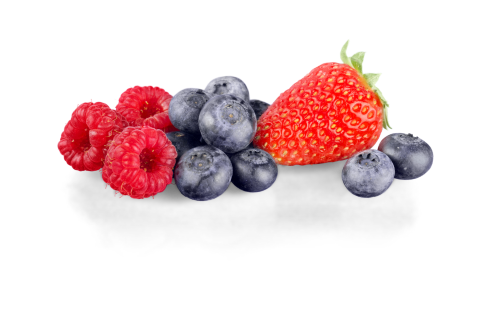 Fruits Intro